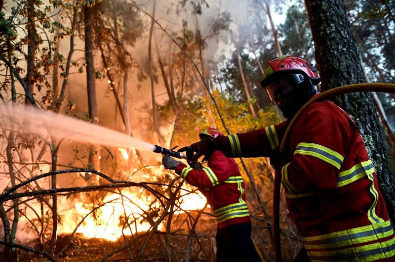 Todos los fuegos el fuego
