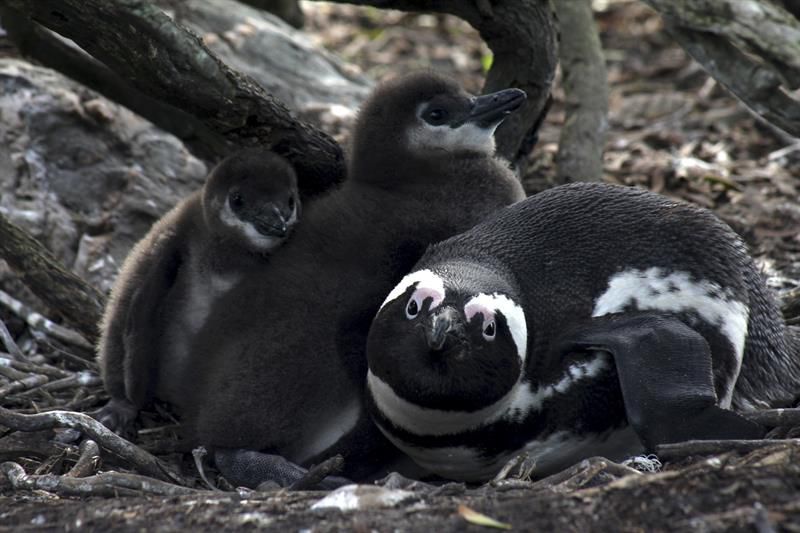 Un lugar en el mundo