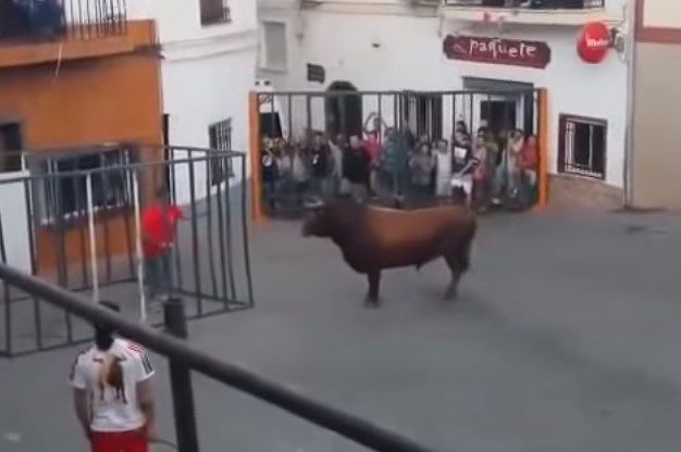 Hasta que el rabo pasa