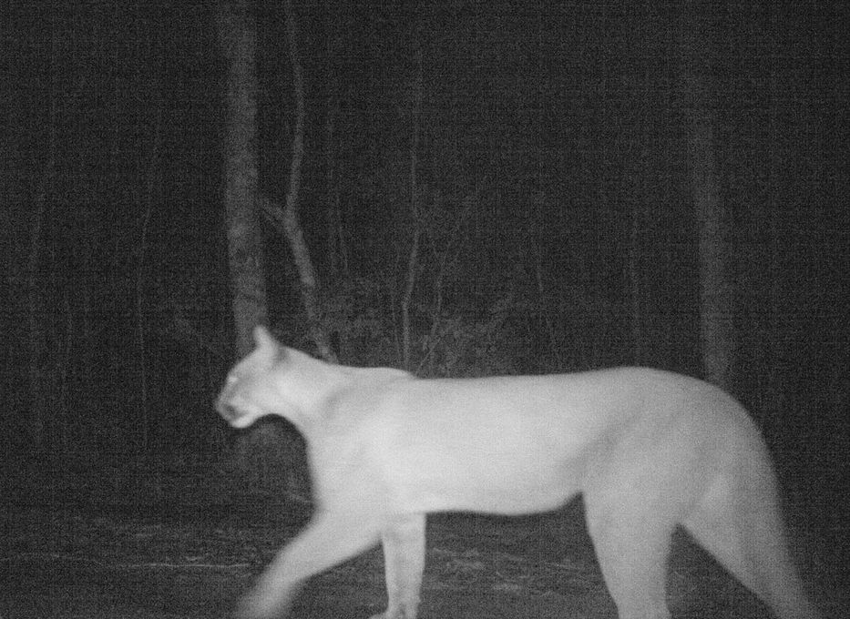 Agárrenlo de las manos