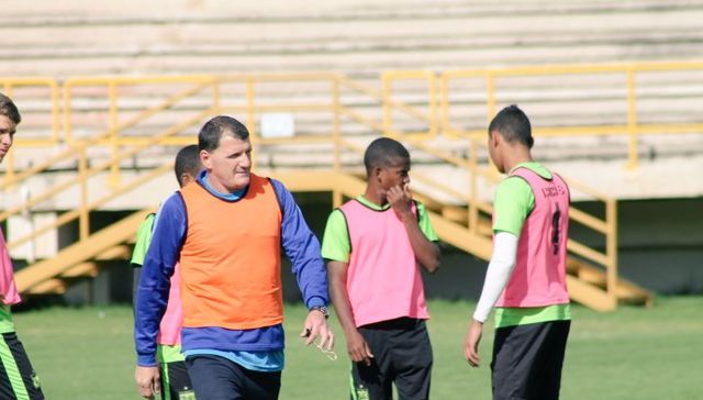 Canario al norte