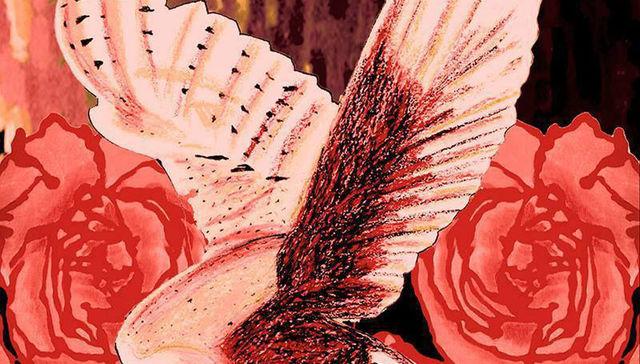 La universidad de Los Oxford