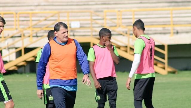 Canario al norte