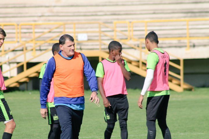 Canario al norte