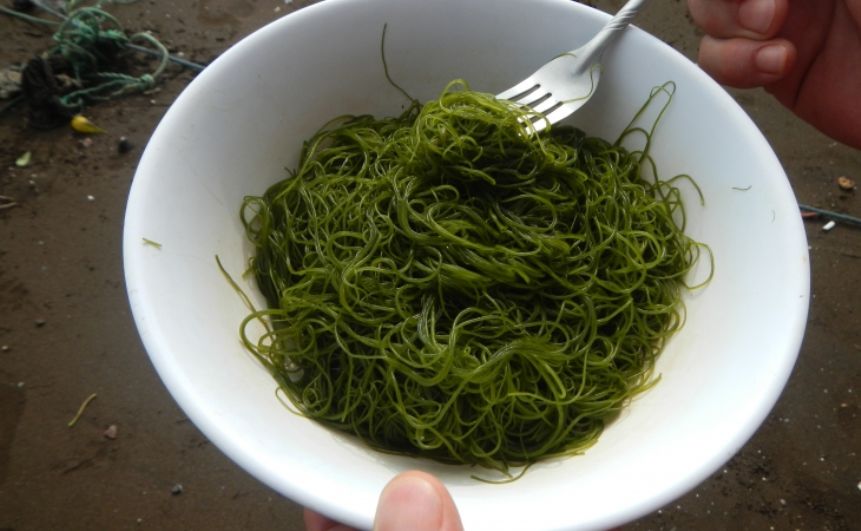 Lo más verde que hay