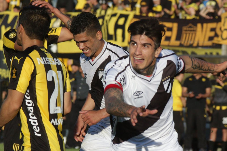 El pájaro te da alas