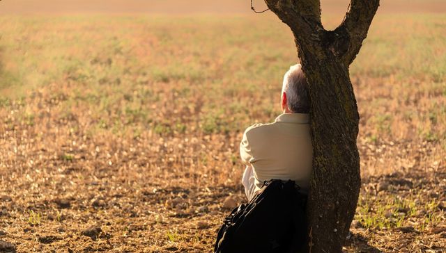 Por The New York Times