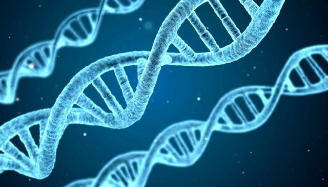 En busca de respuestas