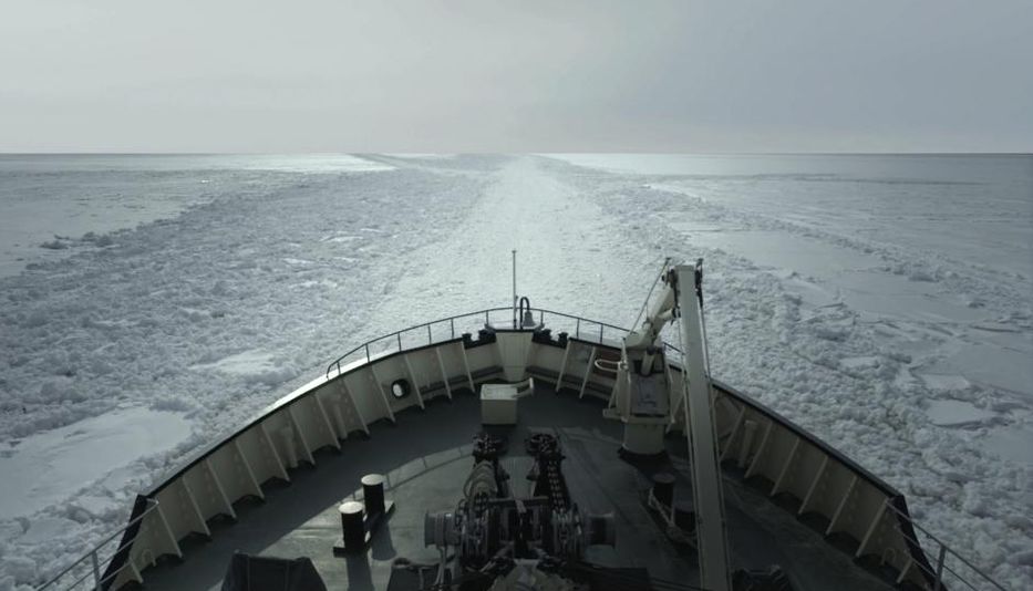 Más películas que Troncoso