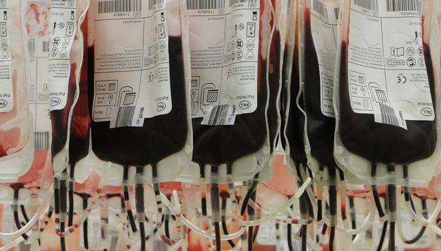 Para los que importa de verdad