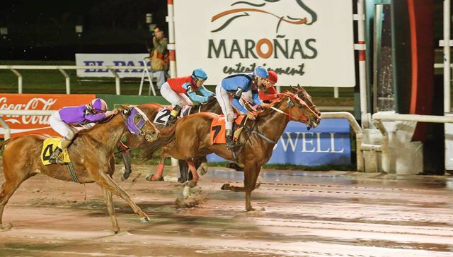 Escribe Gustavo Olmos