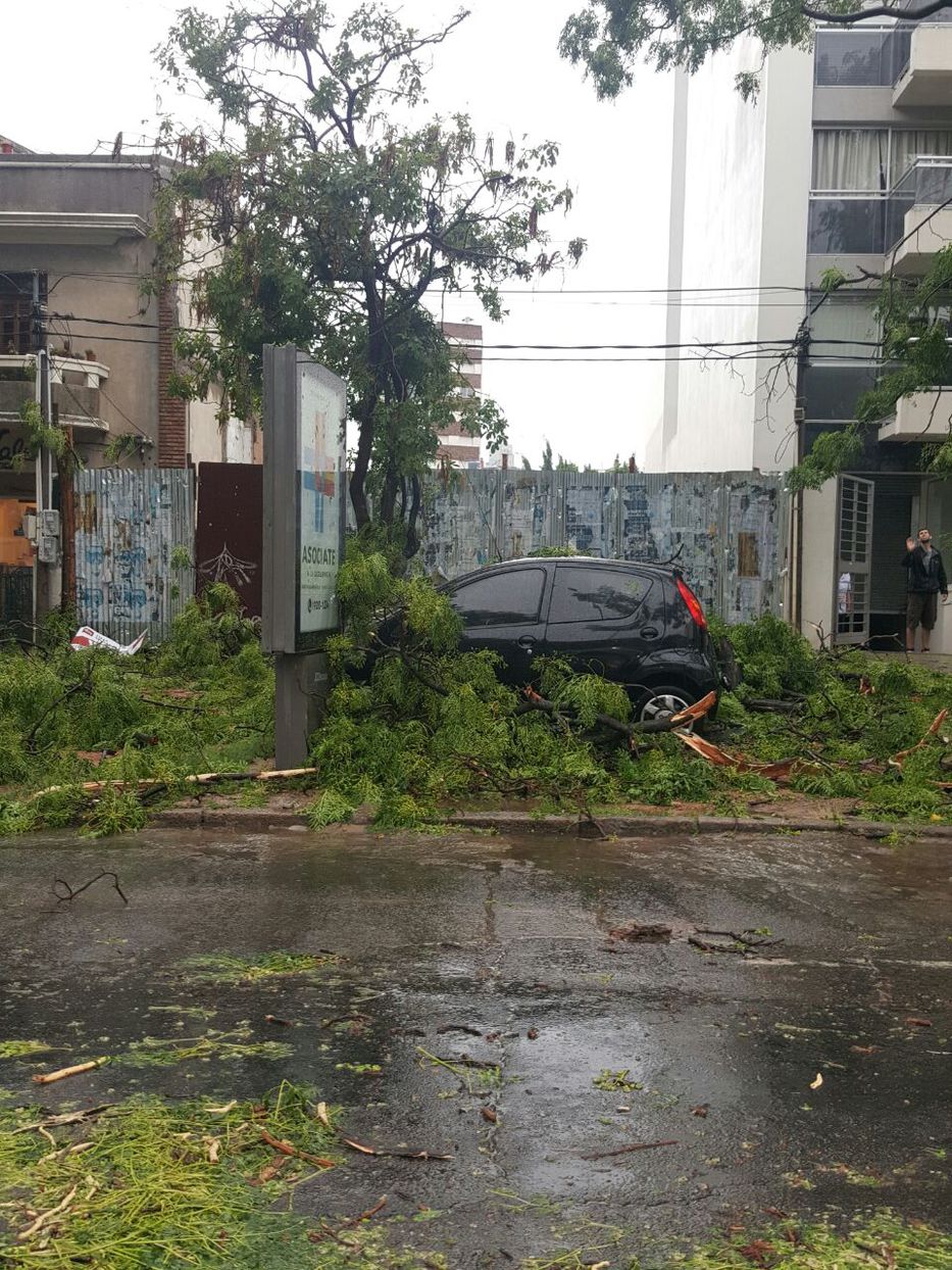 ¿Y ahora qué hago?