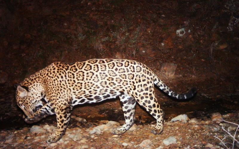 Víctimas y victimarios