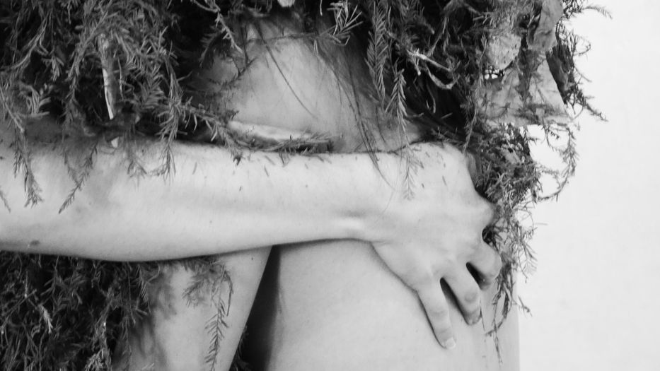 De todas partes vienen