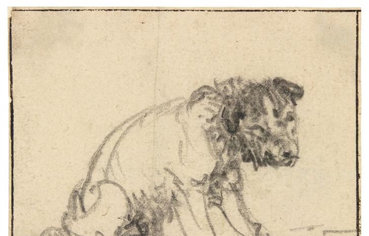 Viendo pasar el tiempo