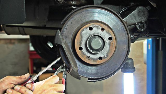 Seguidores de la grasa