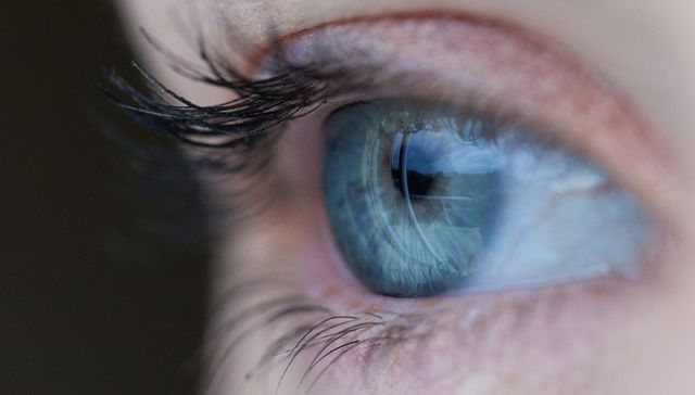 Consultá desde casa