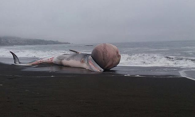 Tenés un bultito ahí