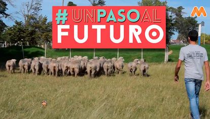#UnPasoAlFuturo - Un liceo de 14 hectáreas