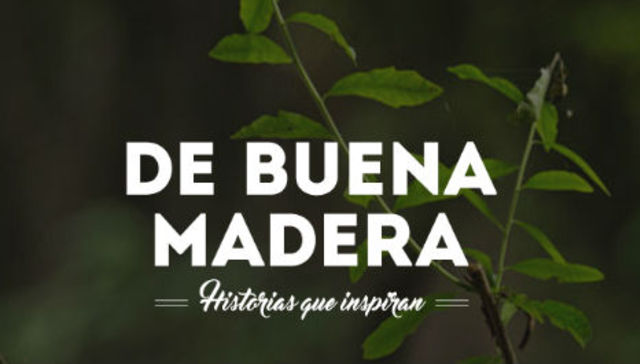 Buena madera