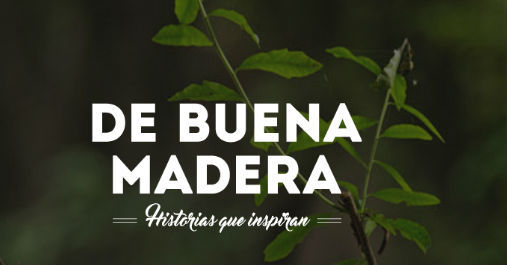 Buena madera