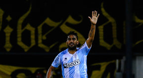 Leña del manya caído