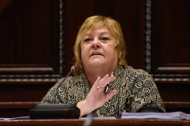 Daisy Tourné: “La proliferación de armas en manos de civiles solo trae desgracia”