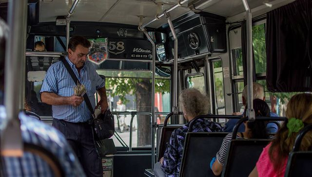 Solidaridad organizada