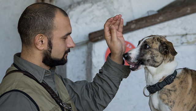 El perro tendrá su día