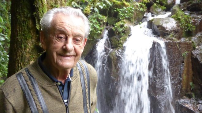 Un tipo de la planta