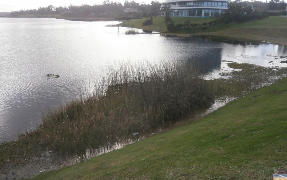 La posibilidad de un islote