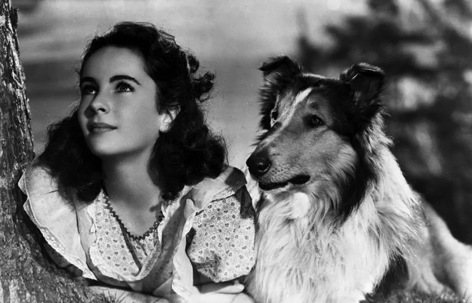 ¿Sólo le falta hablar?