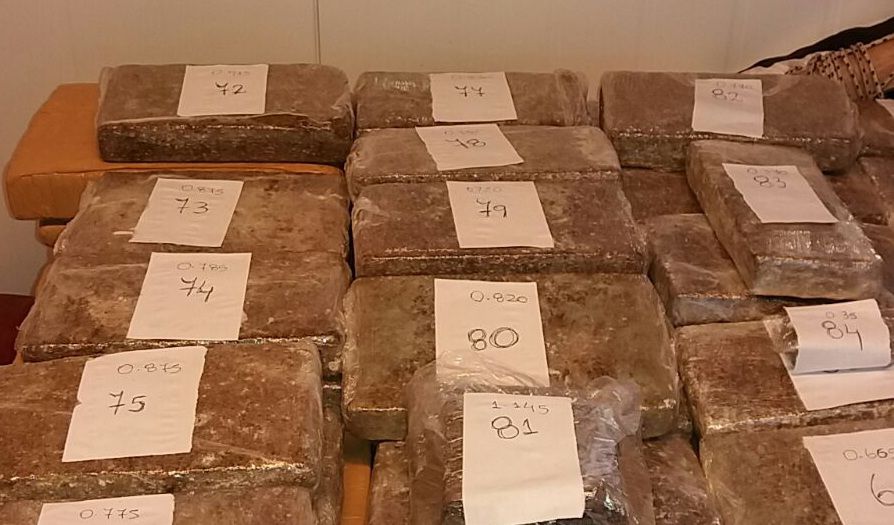 Si es verde y viene en mochila