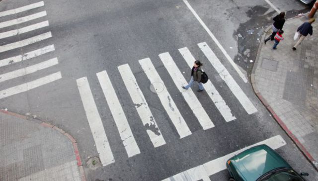 Lo que dicen los números