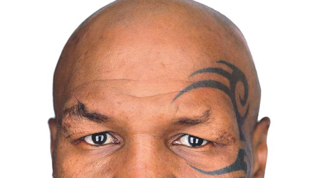 Verdades como puños