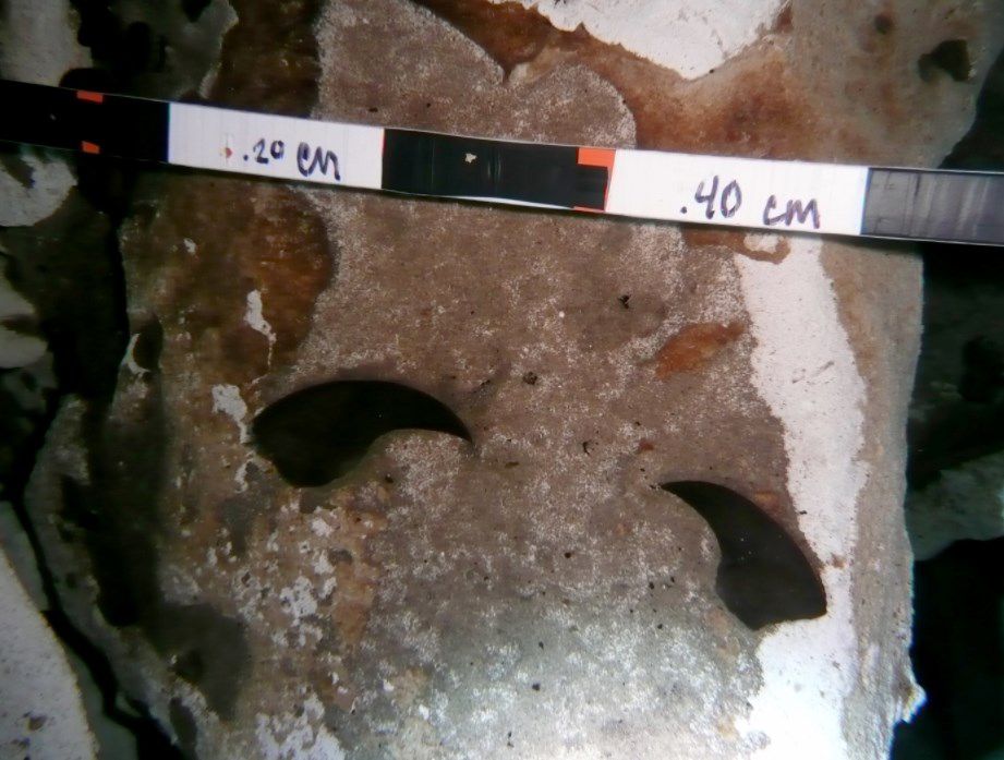 La madre de todos los Pérez