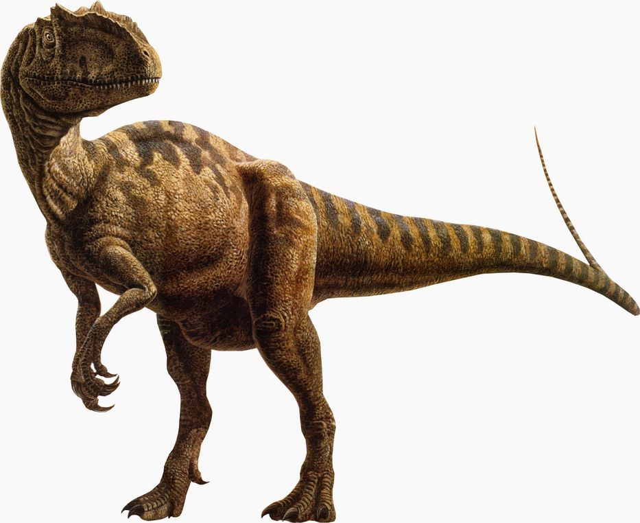 A la huella, la huella