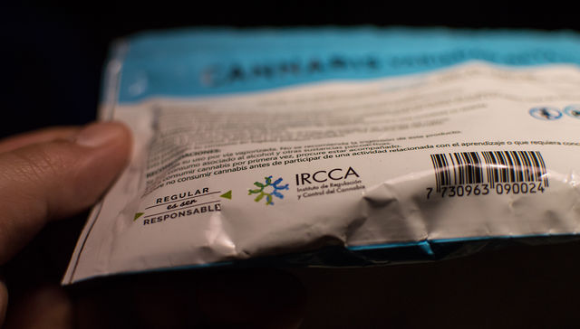 El verde y los verdes