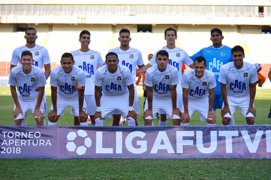 Animales en la cancha