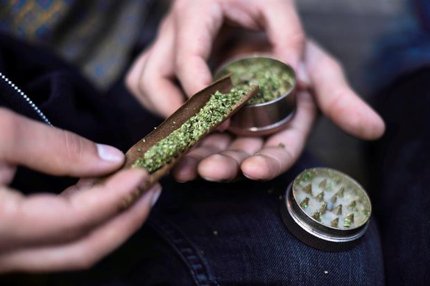 Más en farmacias y clubes, menos autocultivo: los datos del consumo de cannabis en 2026