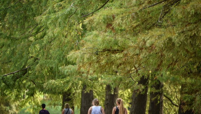 Escribe Pablo Mieres