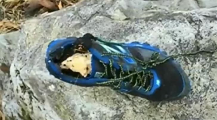 De película de terror