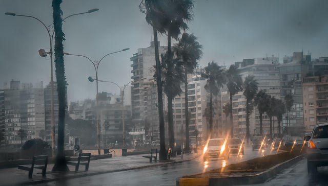 Ni quería verano