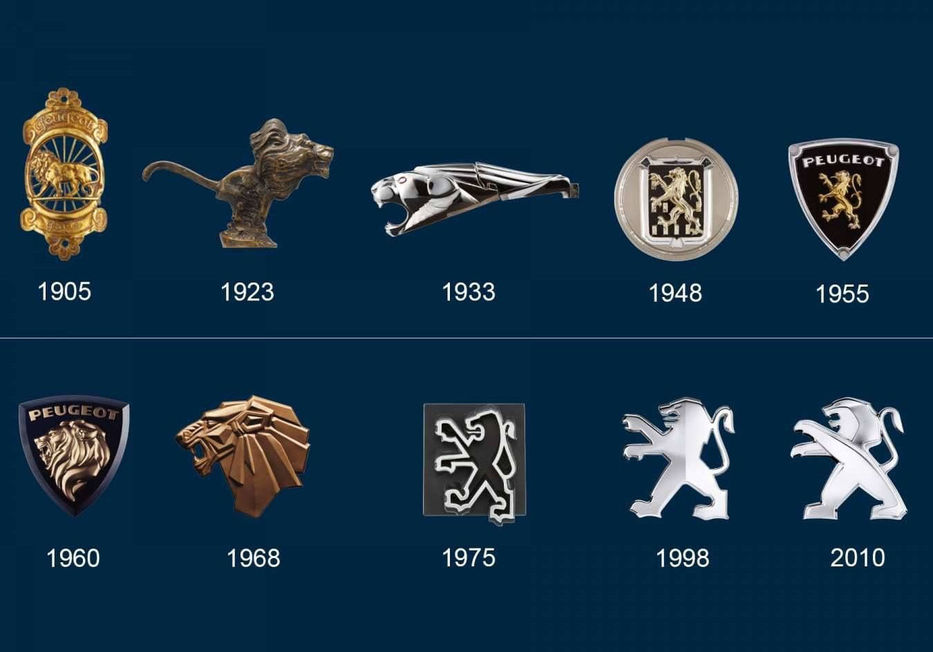 La historia del felino