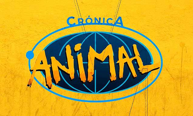 ¡Animal!