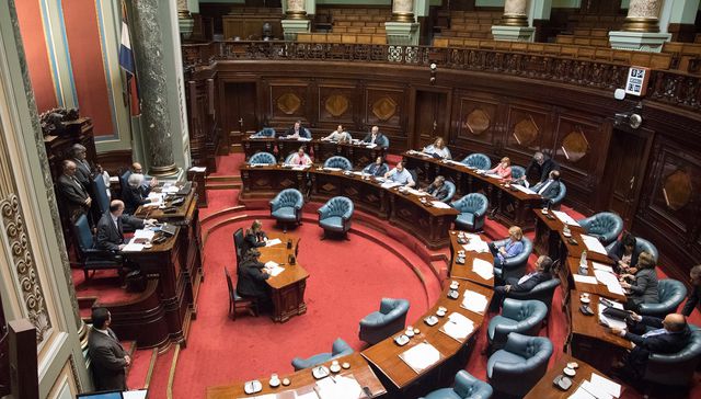 Peces en el agua legislativa
