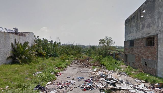 Escribe Eduardo Gudynas