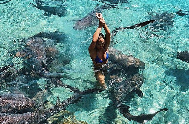 El tiburón no se cosifica