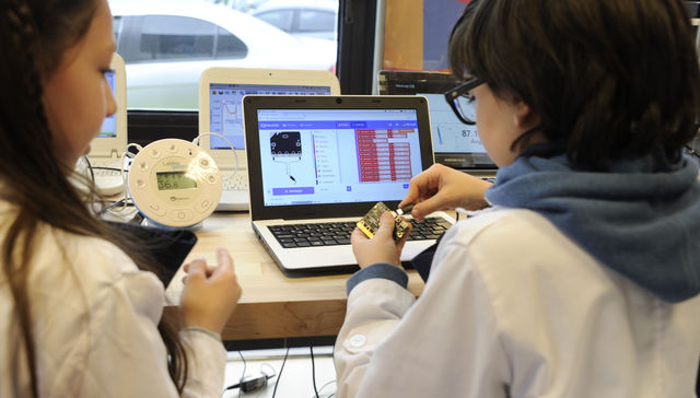 The cat it's under de table