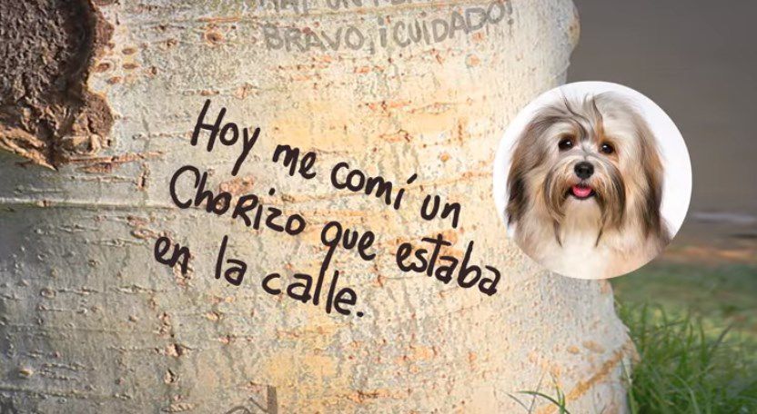 Le pregunto qué pasa por allá abajo